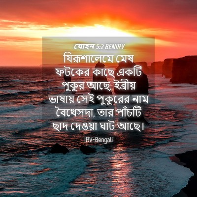 Picture 04 - যোহন 5:2 BENIRV - যিরূশালেমে মেষ - Bible Verse Picture