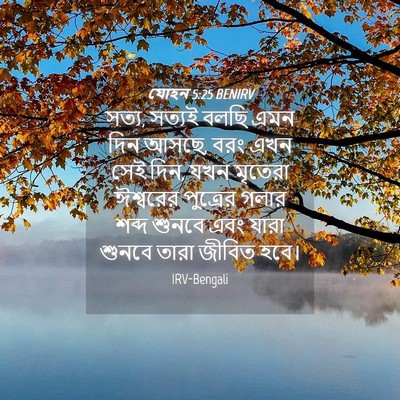 Picture 04 - যোহন 5:25 BENIRV - সত্য, সত্যই বলছি - Bible Verse Picture