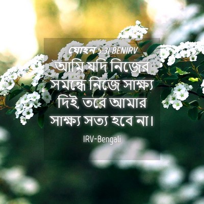 Picture 04 - যোহন 5:31 BENIRV - আমি যদি নিজের - Bible Verse Picture