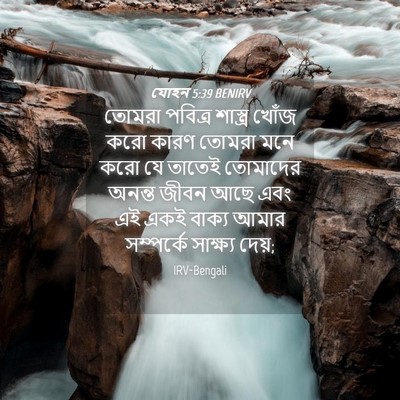 Picture 04 - যোহন 5:39 BENIRV - তোমরা পবিত্র - Bible Verse Picture