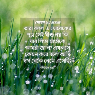 Picture 04 - যোহন 6:42 BENIRV - তারা বলল, এ যোষেফের - Bible Verse Picture
