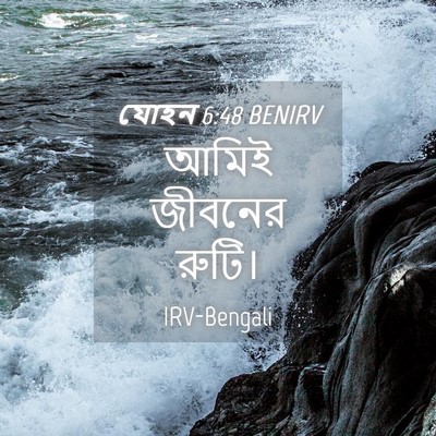 Picture 04 - যোহন 6:48 BENIRV - আমিই জীবনের - Bible Verse Picture