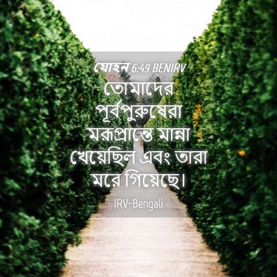 Picture 04 - যোহন 6:49 BENIRV - তোমাদের - Bible Verse Picture
