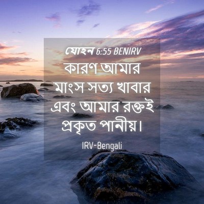 Picture 04 - যোহন 6:55 BENIRV - কারণ আমার মাংস - Bible Verse Picture