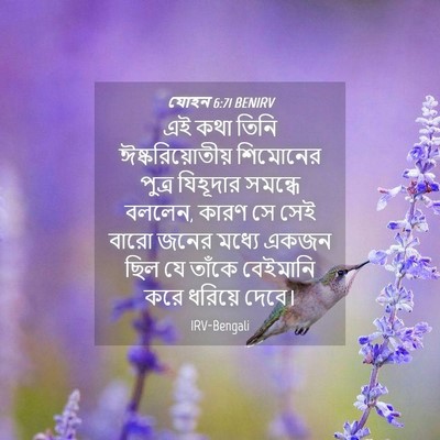 Picture 04 - যোহন 6:71 BENIRV - এই কথা তিনি - Bible Verse Picture