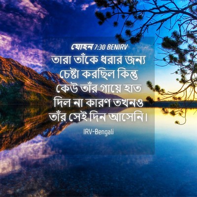 Picture 04 - যোহন 7:30 BENIRV - তারা তাঁকে ধরার - Bible Verse Picture