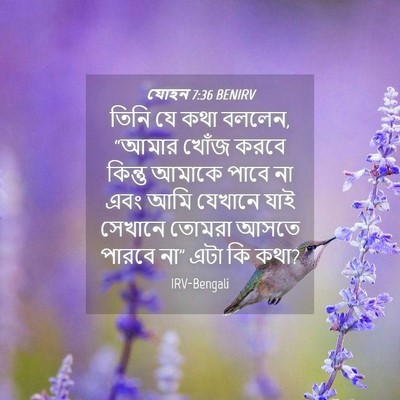 Picture 04 - যোহন 7:36 BENIRV - তিনি যে কথা বললেন, - Bible Verse Picture
