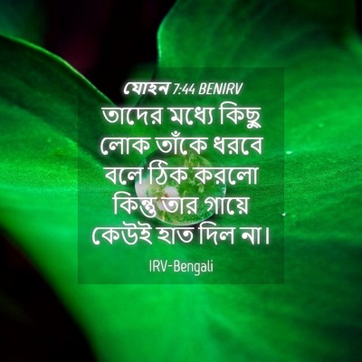 Picture 04 - যোহন 7:44 BENIRV - তাদের মধ্যে কিছু - Bible Verse Picture