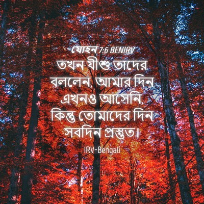 Picture 04 - যোহন 7:6 BENIRV - তখন যীশু তাদের - Bible Verse Picture