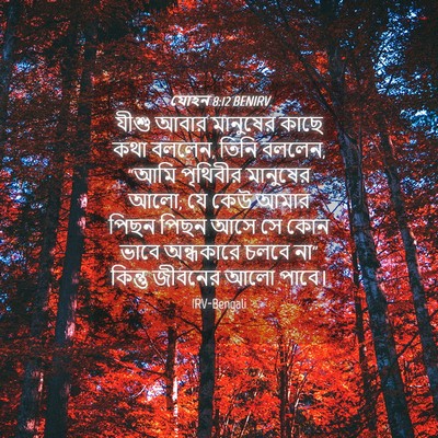 Picture 04 - যোহন 8:12 BENIRV - যীশু আবার মানুষের - Bible Verse Picture