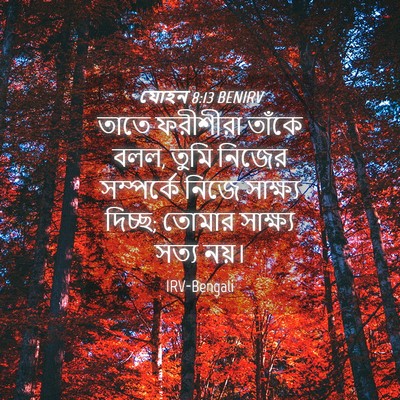 Picture 04 - যোহন 8:13 BENIRV - তাতে ফরীশীরা - Bible Verse Picture