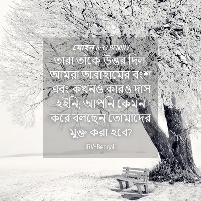 Picture 04 - যোহন 8:33 BENIRV - তারা তাঁকে উত্তর - Bible Verse Picture