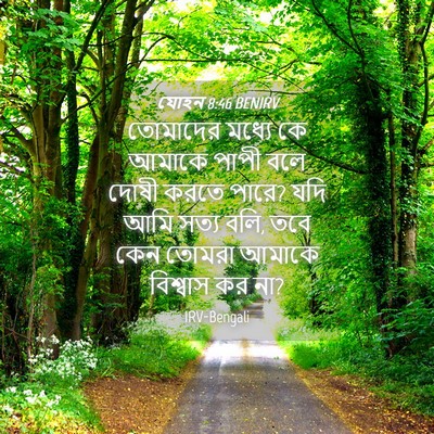 Picture 04 - যোহন 8:46 BENIRV - তোমাদের মধ্যে কে - Bible Verse Picture