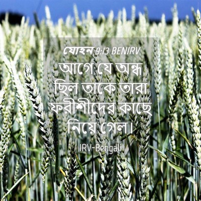 Picture 04 - যোহন 9:13 BENIRV - আগে যে অন্ধ ছিল - Bible Verse Picture