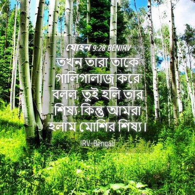 Picture 04 - যোহন 9:28 BENIRV - তখন তারা তাকে - Bible Verse Picture