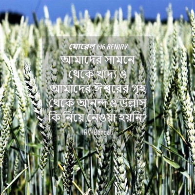 Picture 04 - যোৱেল 1:16 BENIRV - আমাদের সামনে থেকে - Bible Verse Picture