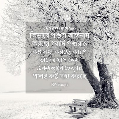 Picture 04 - যোৱেল 1:18 BENIRV - কিভাবে পশুরা - Bible Verse Picture