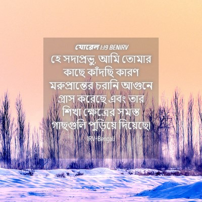 Picture 04 - যোৱেল 1:19 BENIRV - হে সদাপ্রভু, আমি - Bible Verse Picture