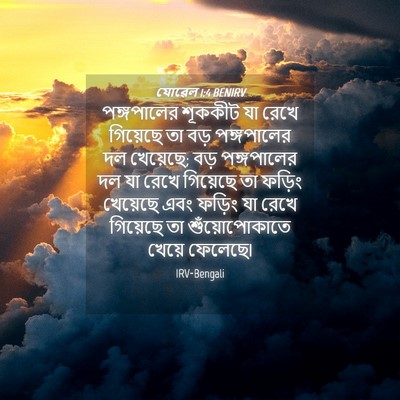 Picture 04 - যোৱেল 1:4 BENIRV - পঙ্গপালের শূককীট - Bible Verse Picture