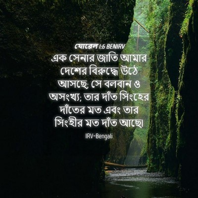 Picture 04 - যোৱেল 1:6 BENIRV - এক সেনার জাতি আমার - Bible Verse Picture