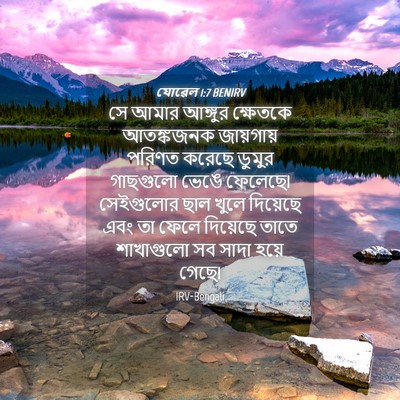 Picture 04 - যোৱেল 1:7 BENIRV - সে আমার আঙ্গুর - Bible Verse Picture