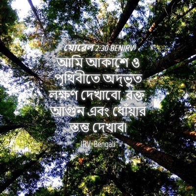 Picture 04 - যোৱেল 2:30 BENIRV - আমি আকাশে ও - Bible Verse Picture