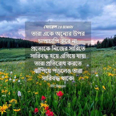 Picture 04 - যোৱেল 2:8 BENIRV - তারা একে অন্যের - Bible Verse Picture