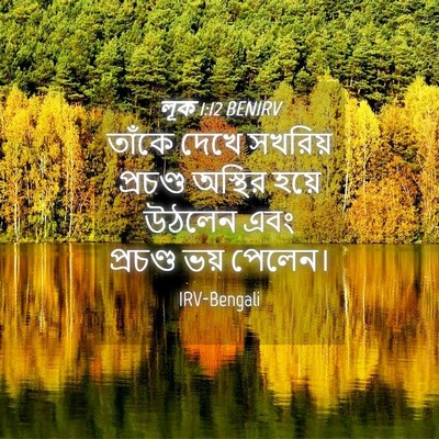 Picture 04 - লূক 1:12 BENIRV - তাঁকে দেখে সখরিয় - Bible Verse Picture