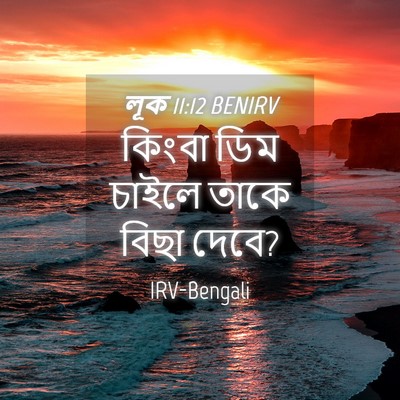 Picture 04 - লূক 11:12 BENIRV - কিংবা ডিম চাইলে - Bible Verse Picture