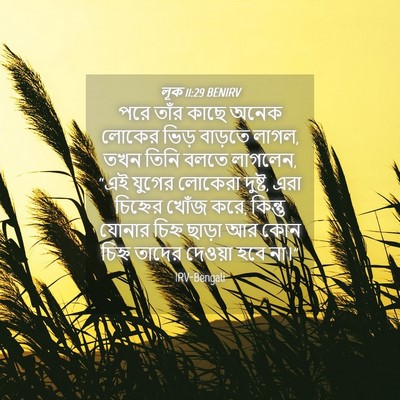 Picture 04 - লূক 11:29 BENIRV - পরে তাঁর কাছে অনেক - Bible Verse Picture