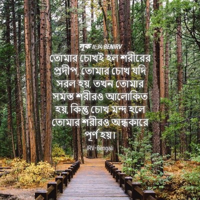 Picture 04 - লূক 11:34 BENIRV - তোমার চোখই হল - Bible Verse Picture