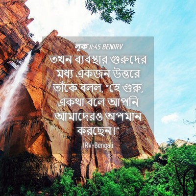 Picture 04 - লূক 11:45 BENIRV - তখন ব্যবস্থার - Bible Verse Picture