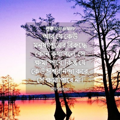 Picture 04 - লূক 12:10 BENIRV - আর যে কেউ - Bible Verse Picture