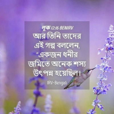 Picture 04 - লূক 12:16 BENIRV - আর তিনি তাদের এই - Bible Verse Picture