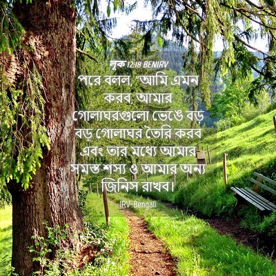 Picture 04 - লূক 12:18 BENIRV - পরে বলল, “আমি এমন - Bible Verse Picture