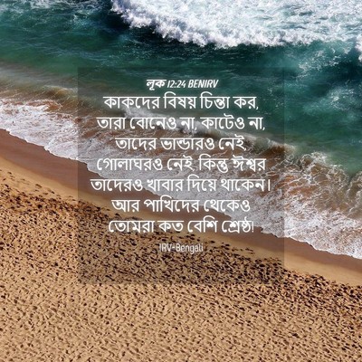 Picture 04 - লূক 12:24 BENIRV - কাকদের বিষয় - Bible Verse Picture