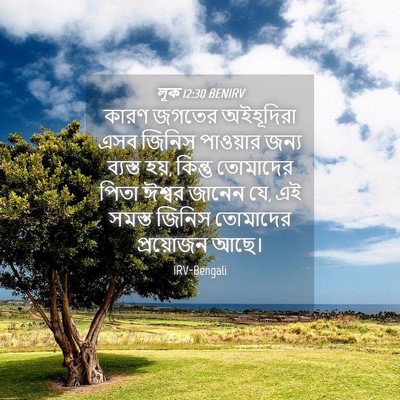 Picture 04 - লূক 12:30 BENIRV - কারণ জগতের - Bible Verse Picture
