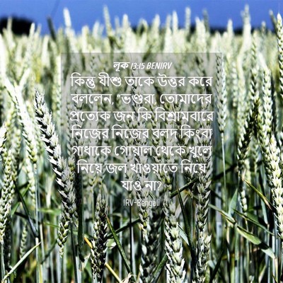 Picture 04 - লূক 13:15 BENIRV - কিন্তু যীশু তাকে - Bible Verse Picture