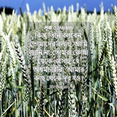 Picture 04 - লূক 13:27 BENIRV - কিন্তু তিনি বলবেন, - Bible Verse Picture
