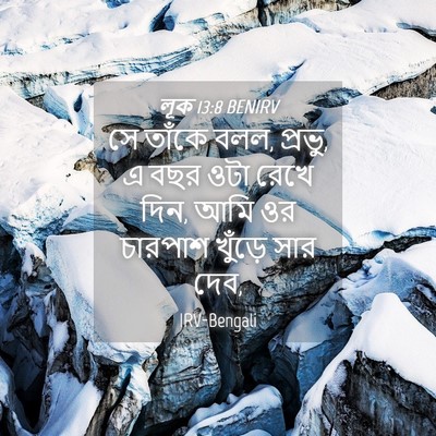 Picture 04 - লূক 13:8 BENIRV - সে তাঁকে বলল, - Bible Verse Picture