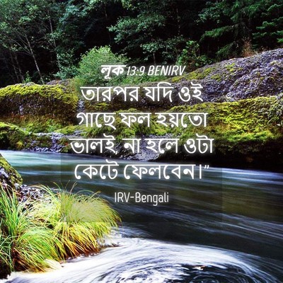 Picture 04 - লূক 13:9 BENIRV - তারপর যদি ওই গাছে - Bible Verse Picture