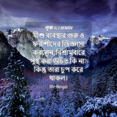 Picture 04 - লূক 14:3 BENIRV - যীশু ব্যবস্থার - Bible Verse Picture