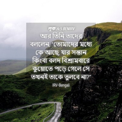 Picture 04 - লূক 14:5 BENIRV - আর তিনি তাদের - Bible Verse Picture