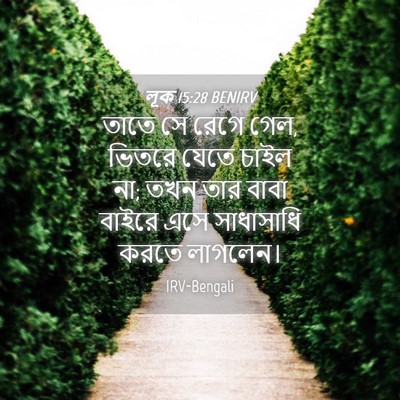 Picture 04 - লূক 15:28 BENIRV - তাতে সে রেগে গেল, - Bible Verse Picture