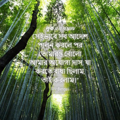 Picture 04 - লূক 17:10 BENIRV - সেইভাবে সব আদেশ - Bible Verse Picture
