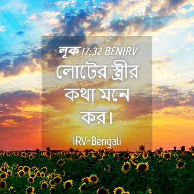 Picture 04 - লূক 17:32 BENIRV - লোটের স্ত্রীর কথা - Bible Verse Picture