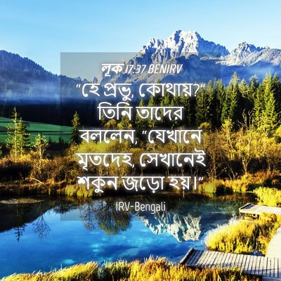 Picture 04 - লূক 17:37 BENIRV - “হে প্রভু, কোথায়?” - Bible Verse Picture
