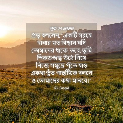 Picture 04 - লূক 17:6 BENIRV - প্রভু বললেন, “একটি - Bible Verse Picture