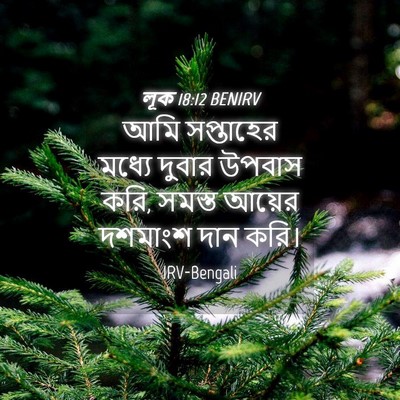 Picture 04 - লূক 18:12 BENIRV - আমি সপ্তাহের - Bible Verse Picture