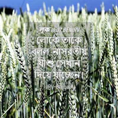 Picture 04 - লূক 18:37 BENIRV - লোকে তাকে বলল, - Bible Verse Picture